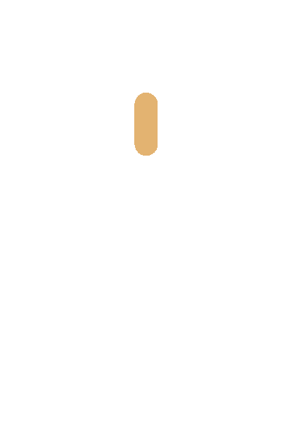 Icon of a computer mouse highlighting the scroll wheel